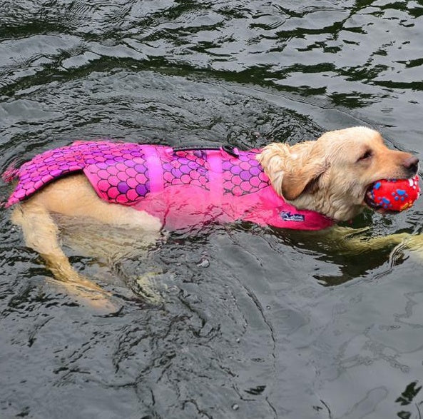 Dog Life Jacket, Mermaid or Shark