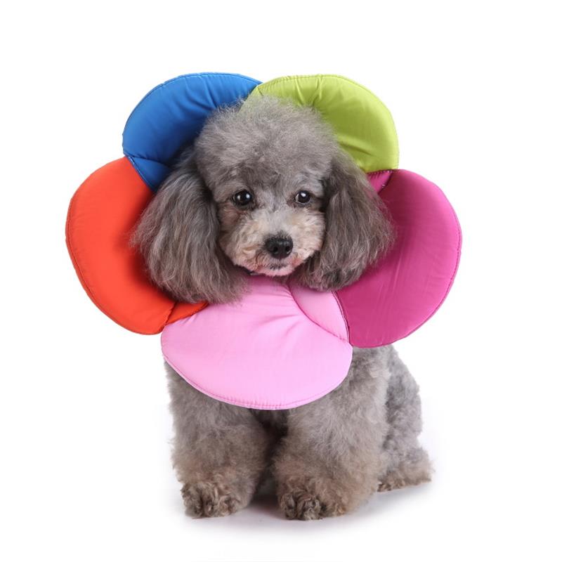 Soft Flower Recovery Collar for Pets