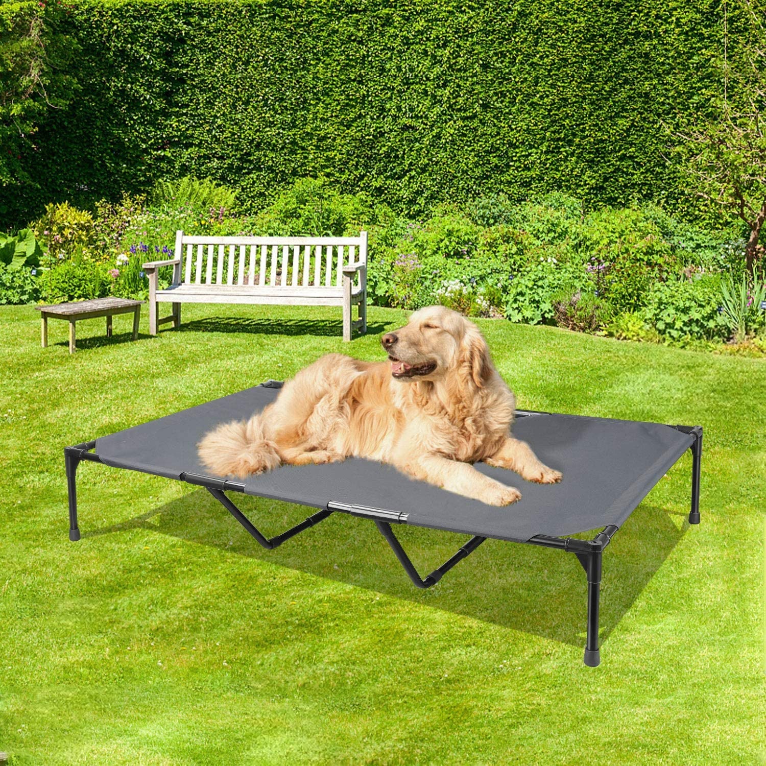 Elevated Outdoor Dog Bed