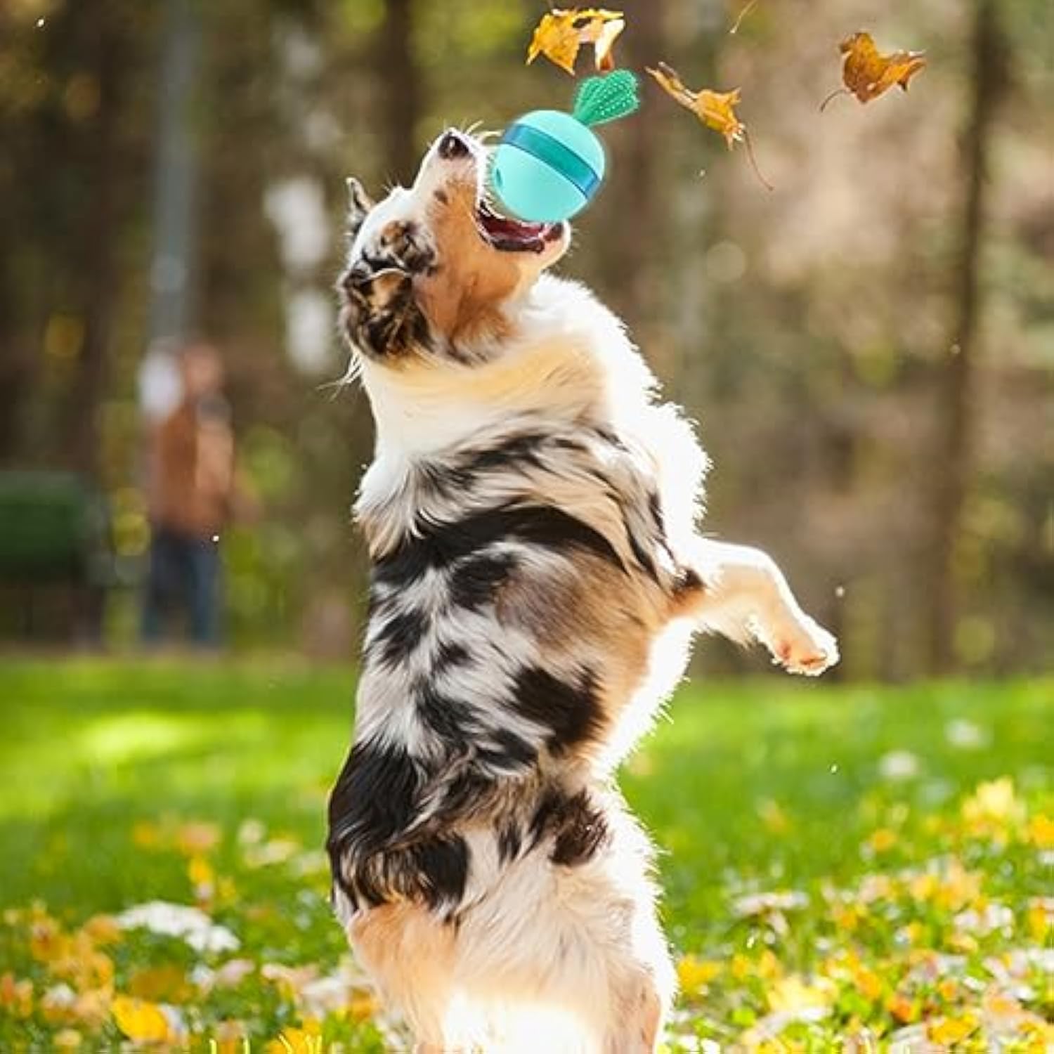 Wobbling Treat-Dispensing Ball