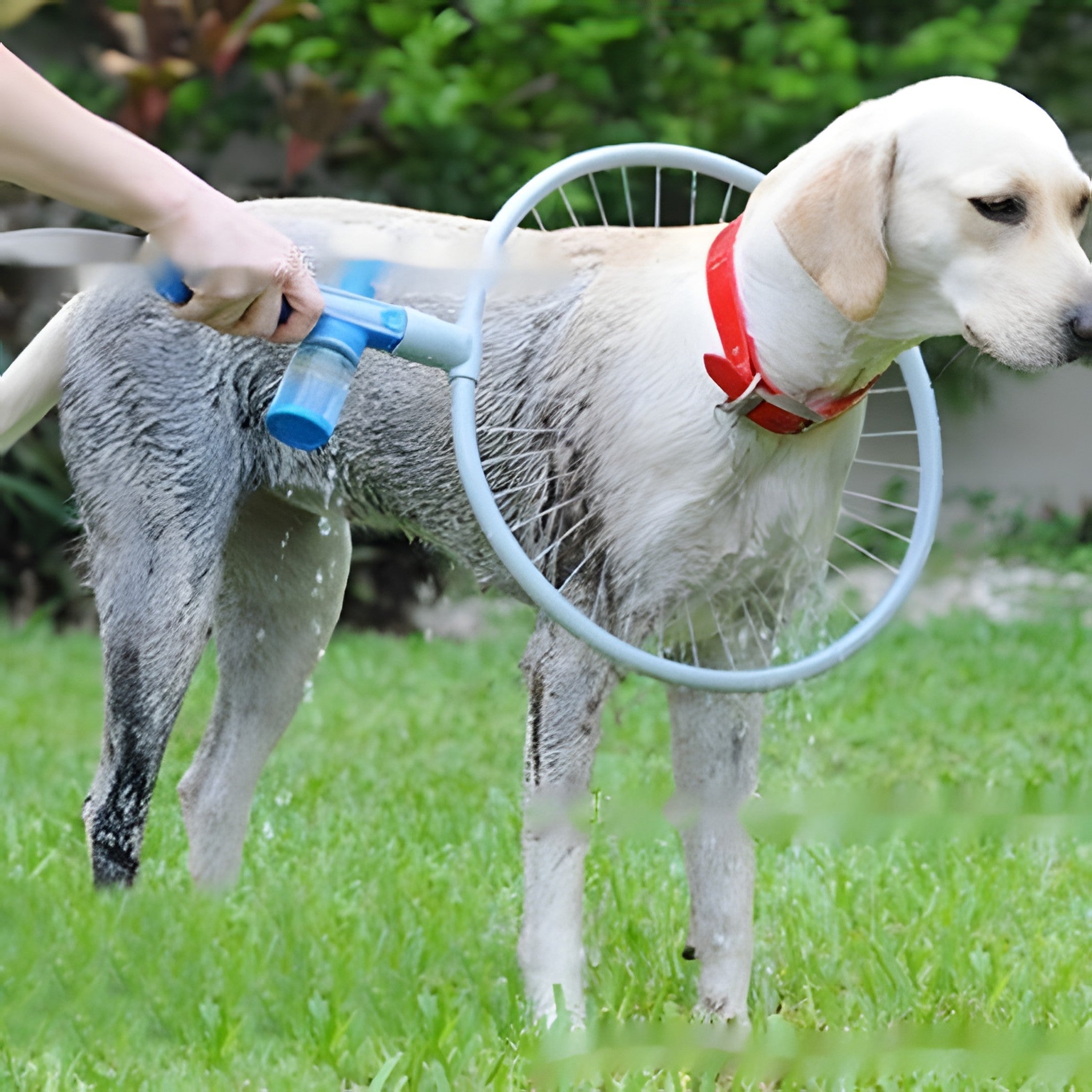 Pet Shower Sprayer