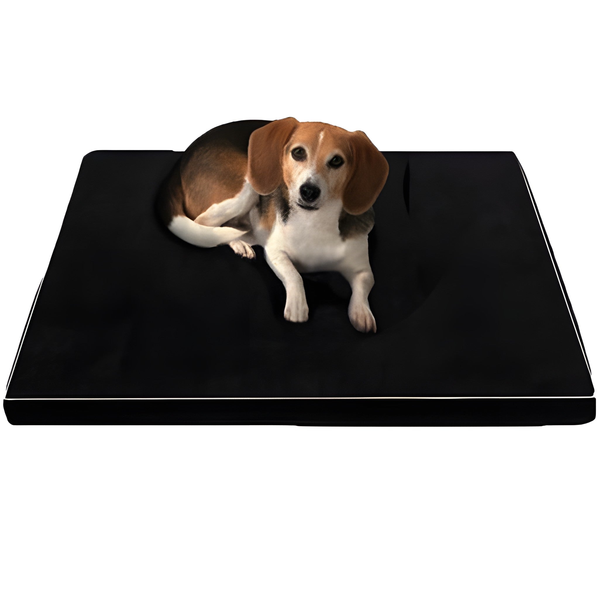 Arthur Orthopedic Memory Foam Dog Bed