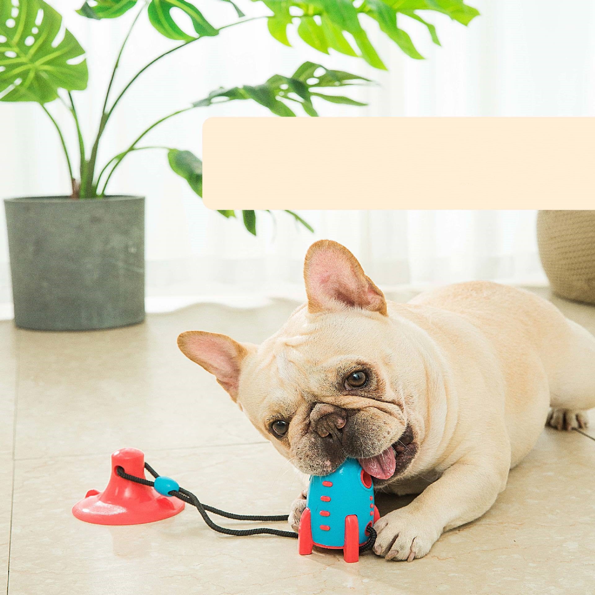 Rocket Treat Chew Toy for Dogs