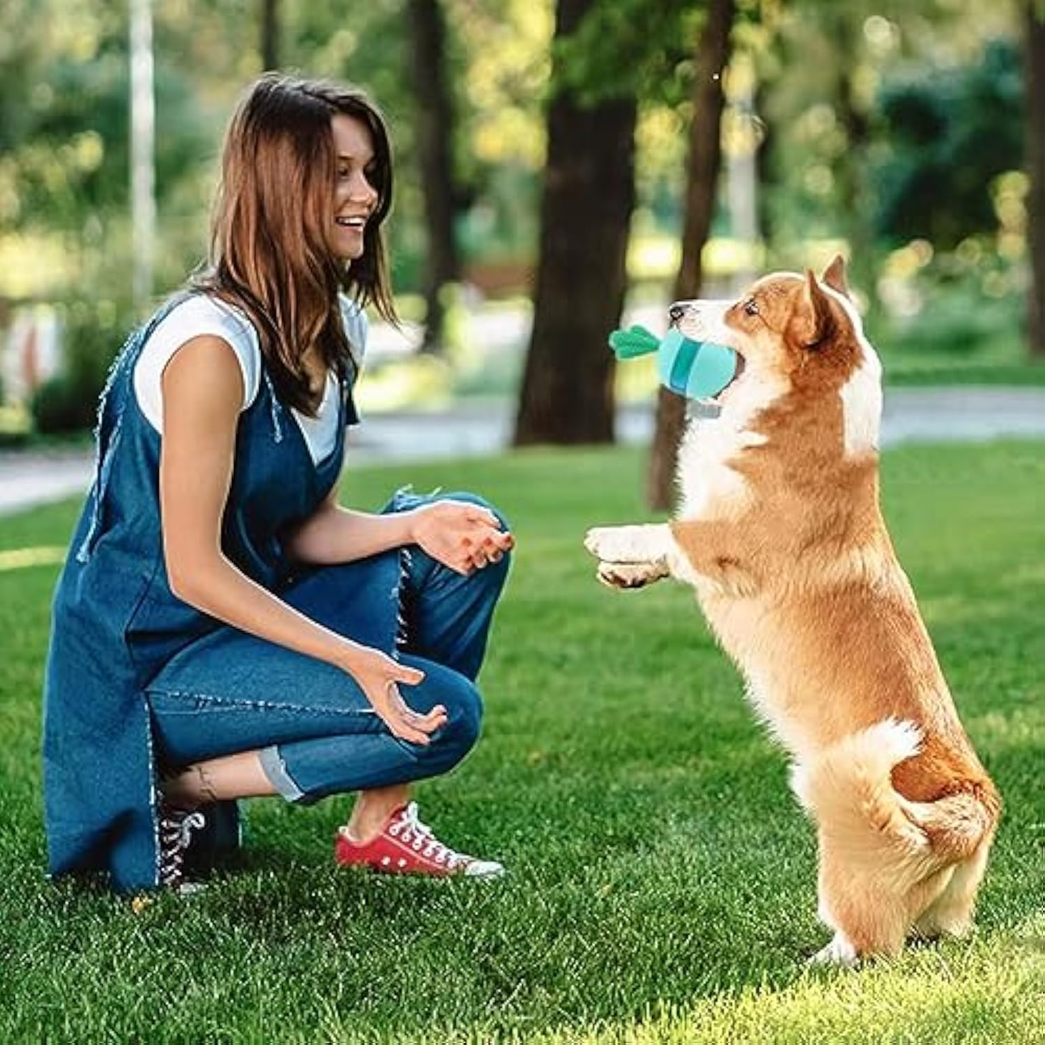 Wobbling Treat-Dispensing Ball