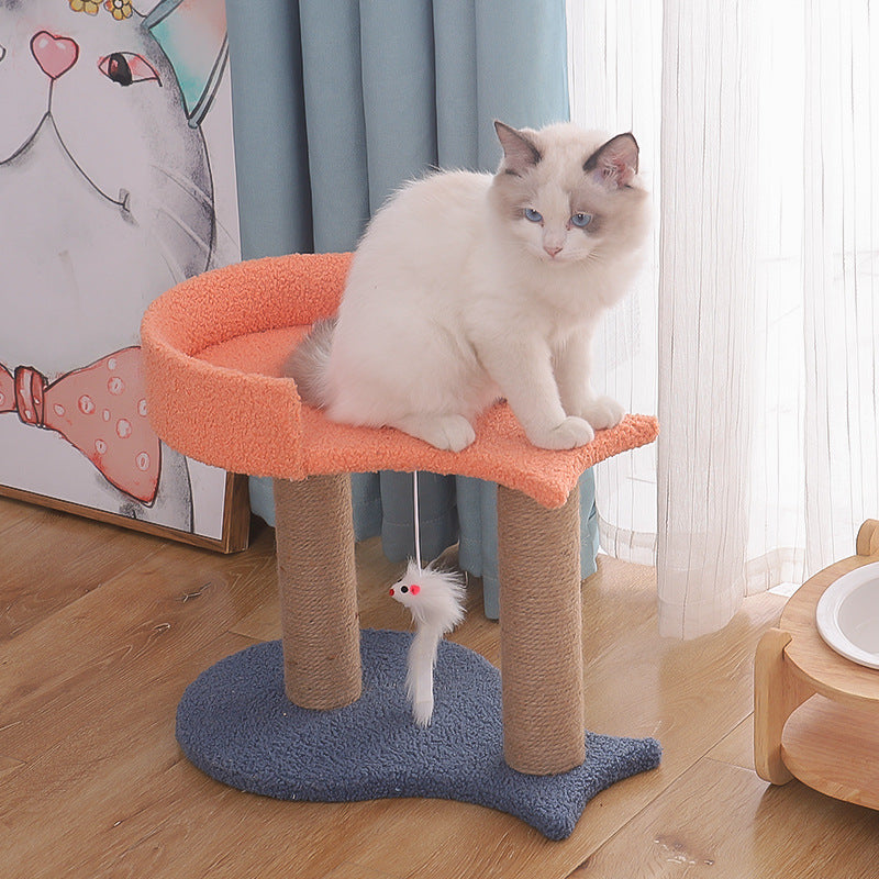 Tall Cat Climbing Tree