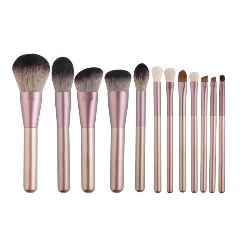 Pink Makeup Brush Set with Clutch Bag