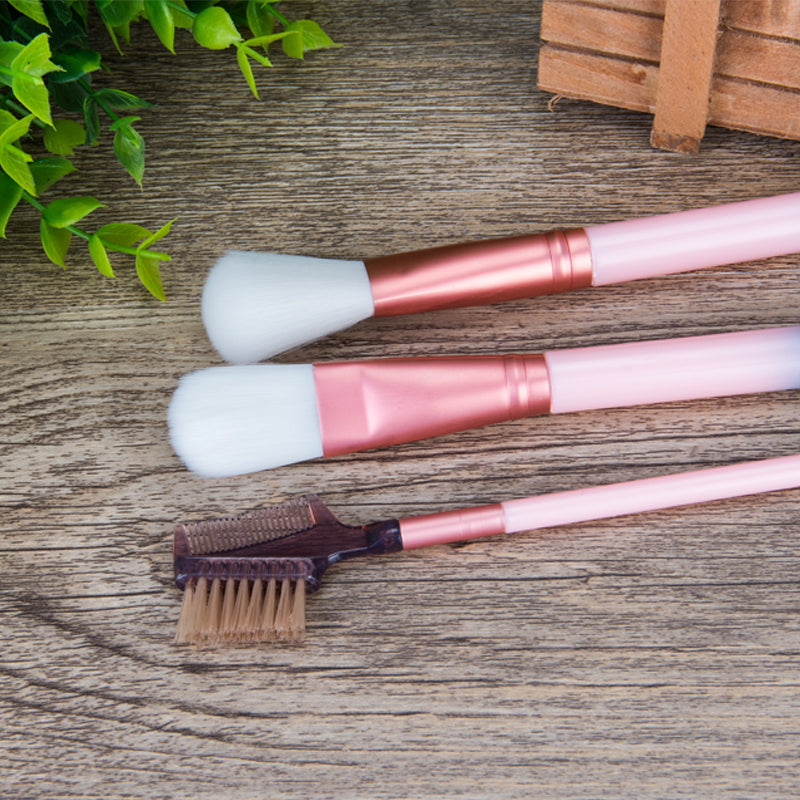 12-Piece Pink Makeup Brush Set