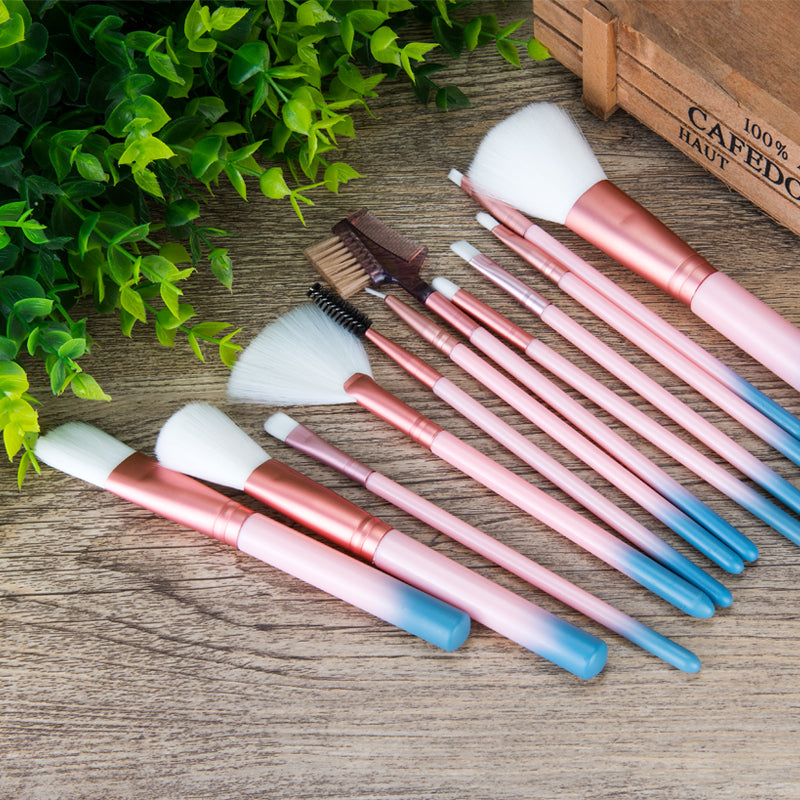 12-Piece Pink Makeup Brush Set