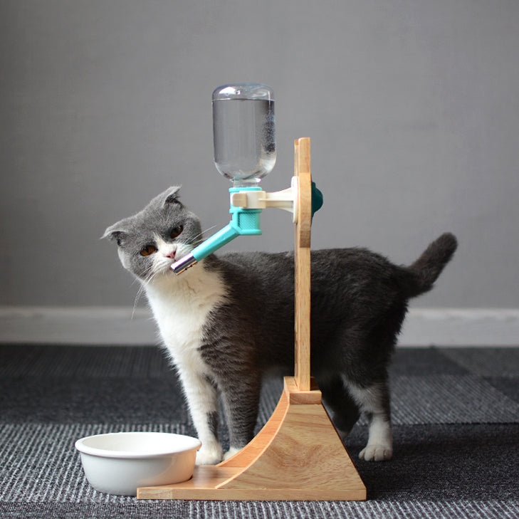 Pet Water Bottle with Wooden Stand
