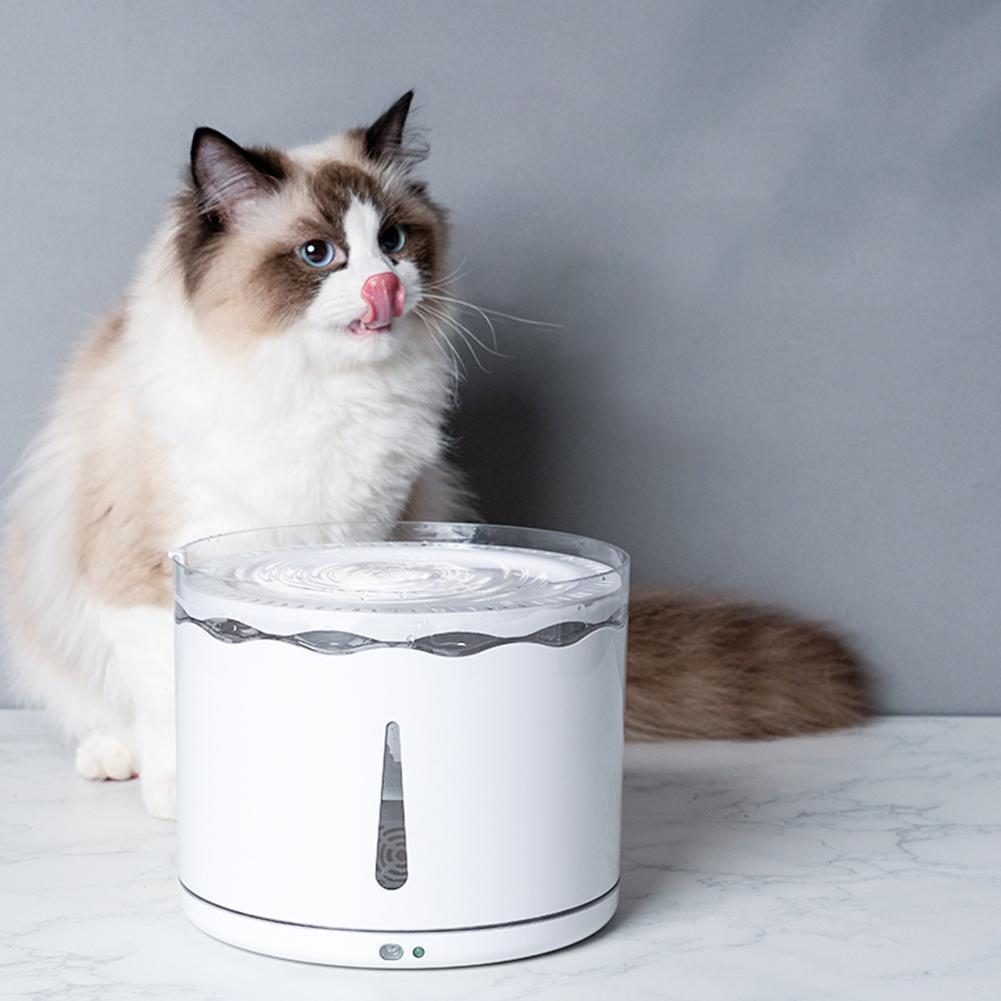 Flower Cat Water Fountain with Filter, 2.2 L