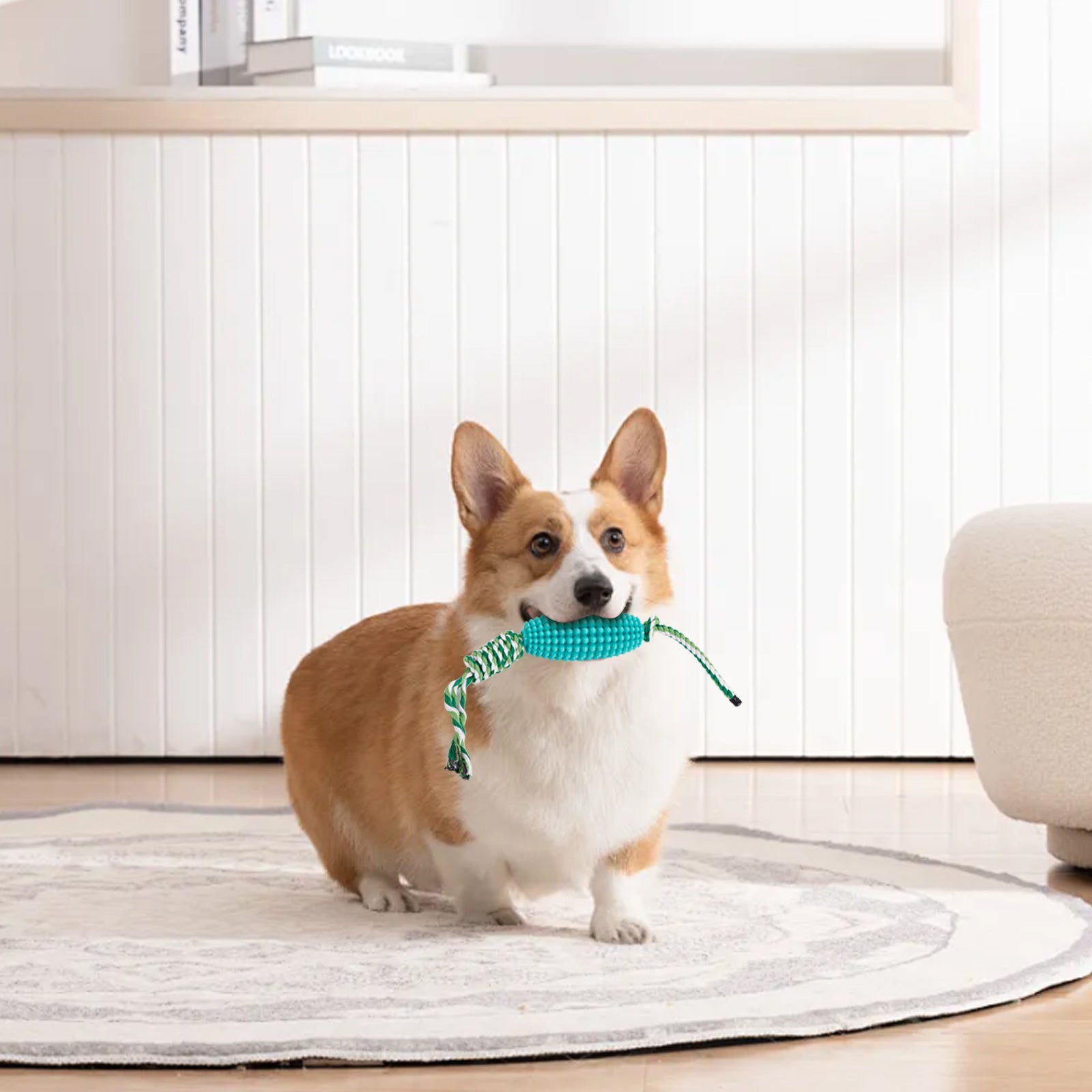 Corn Chew Toy for Dogs