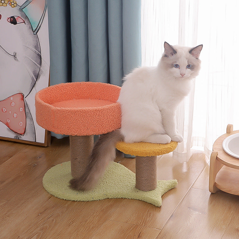 Tall Cat Climbing Tree