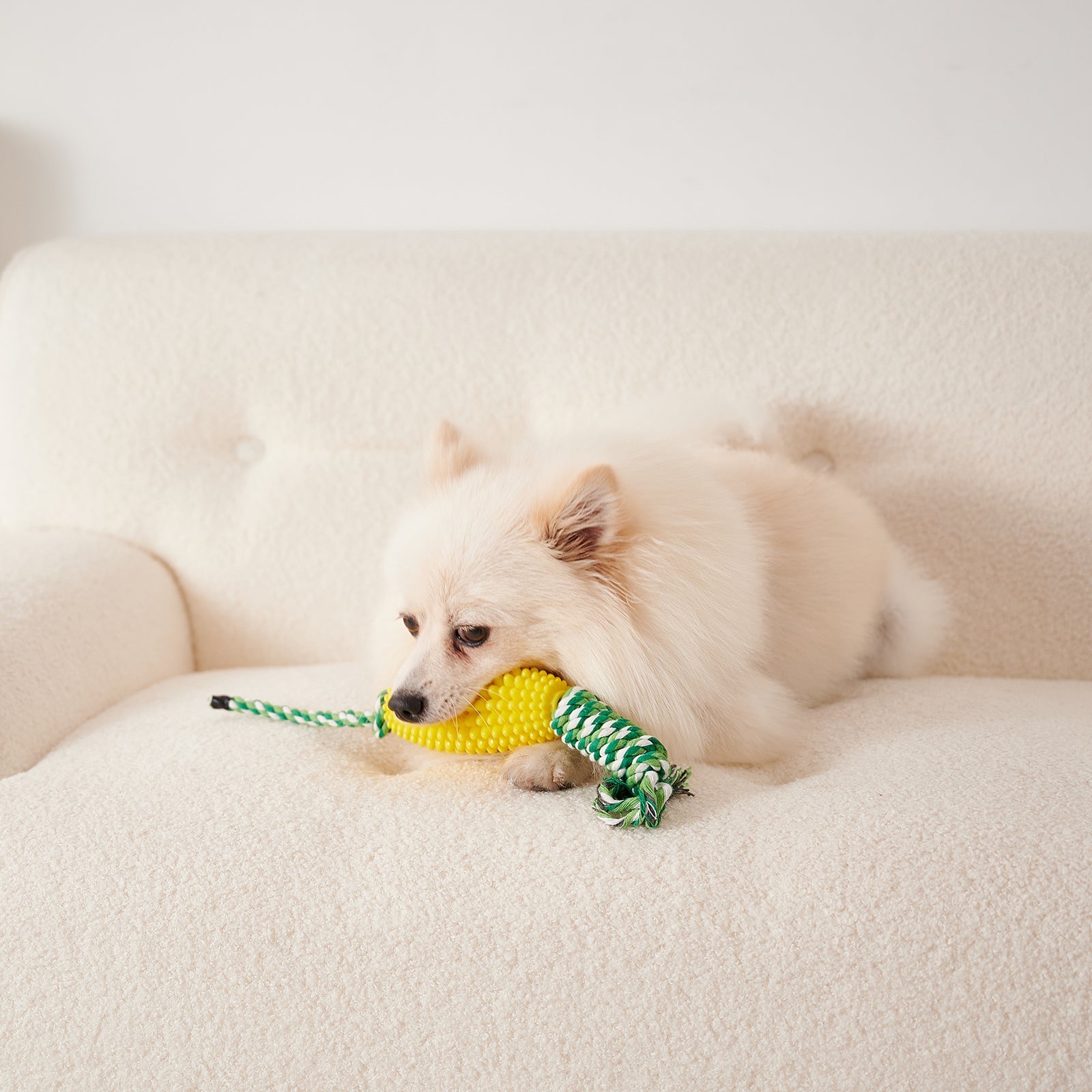 Corn Chew Toy for Dogs