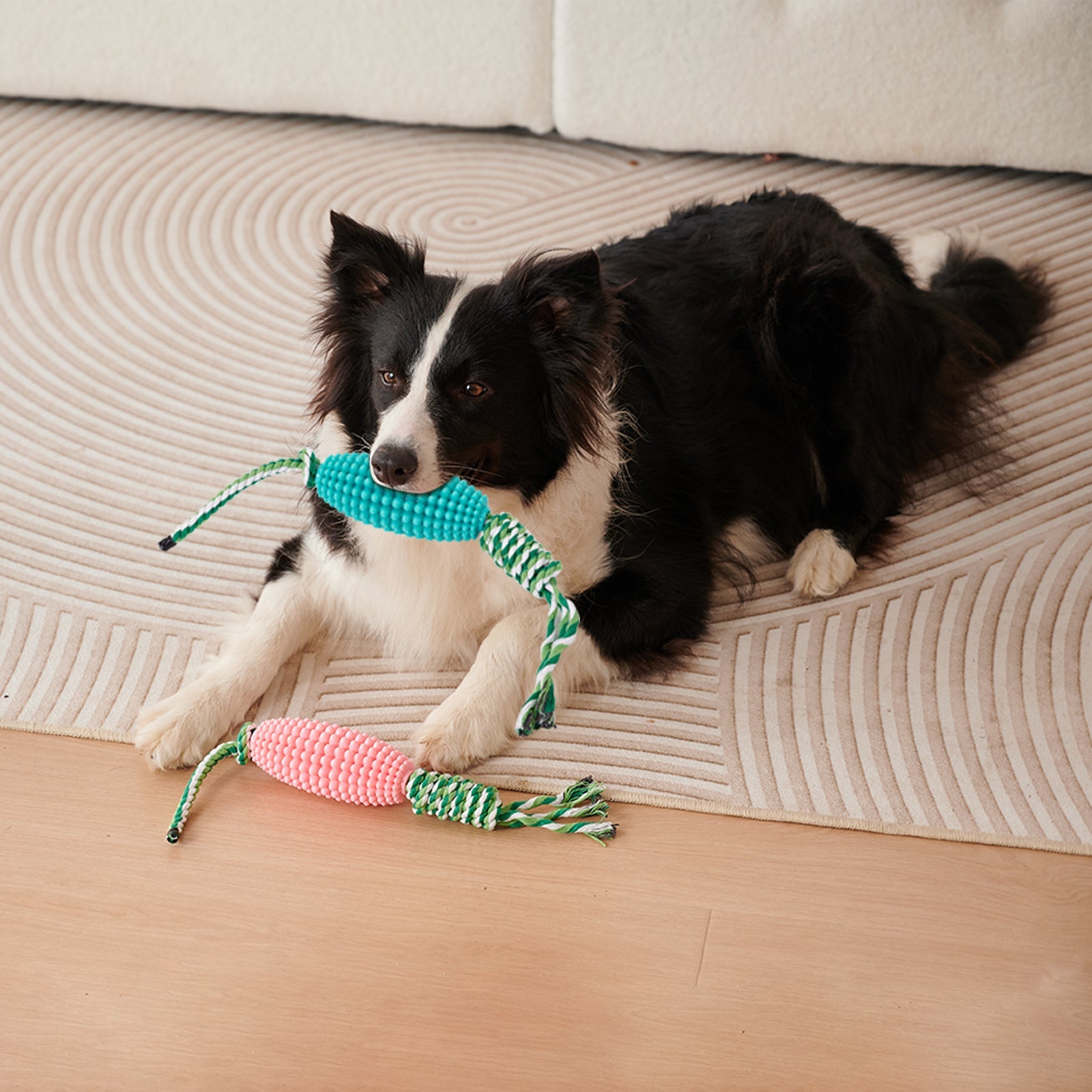 Corn Chew Toy for Dogs