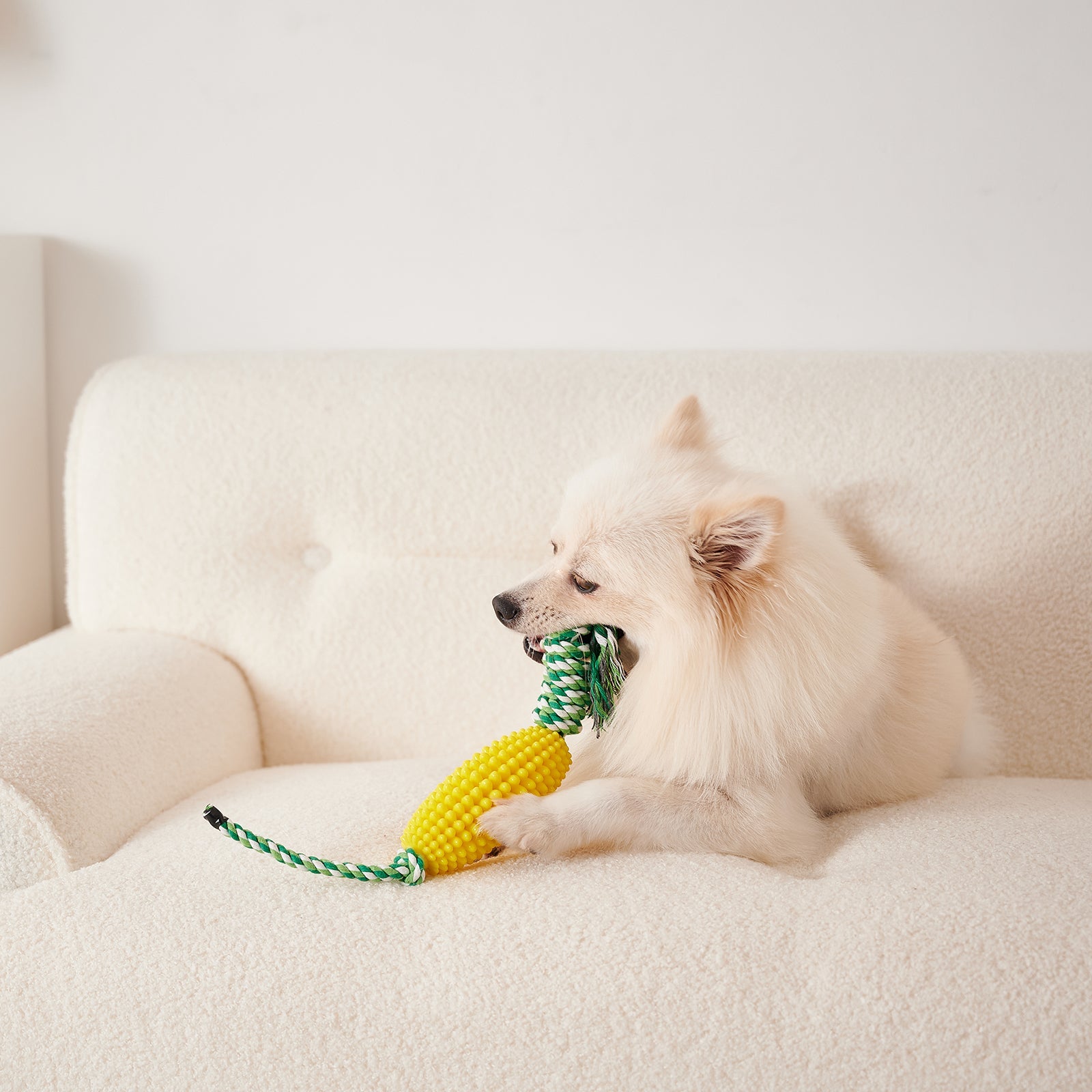 Corn Chew Toy for Dogs