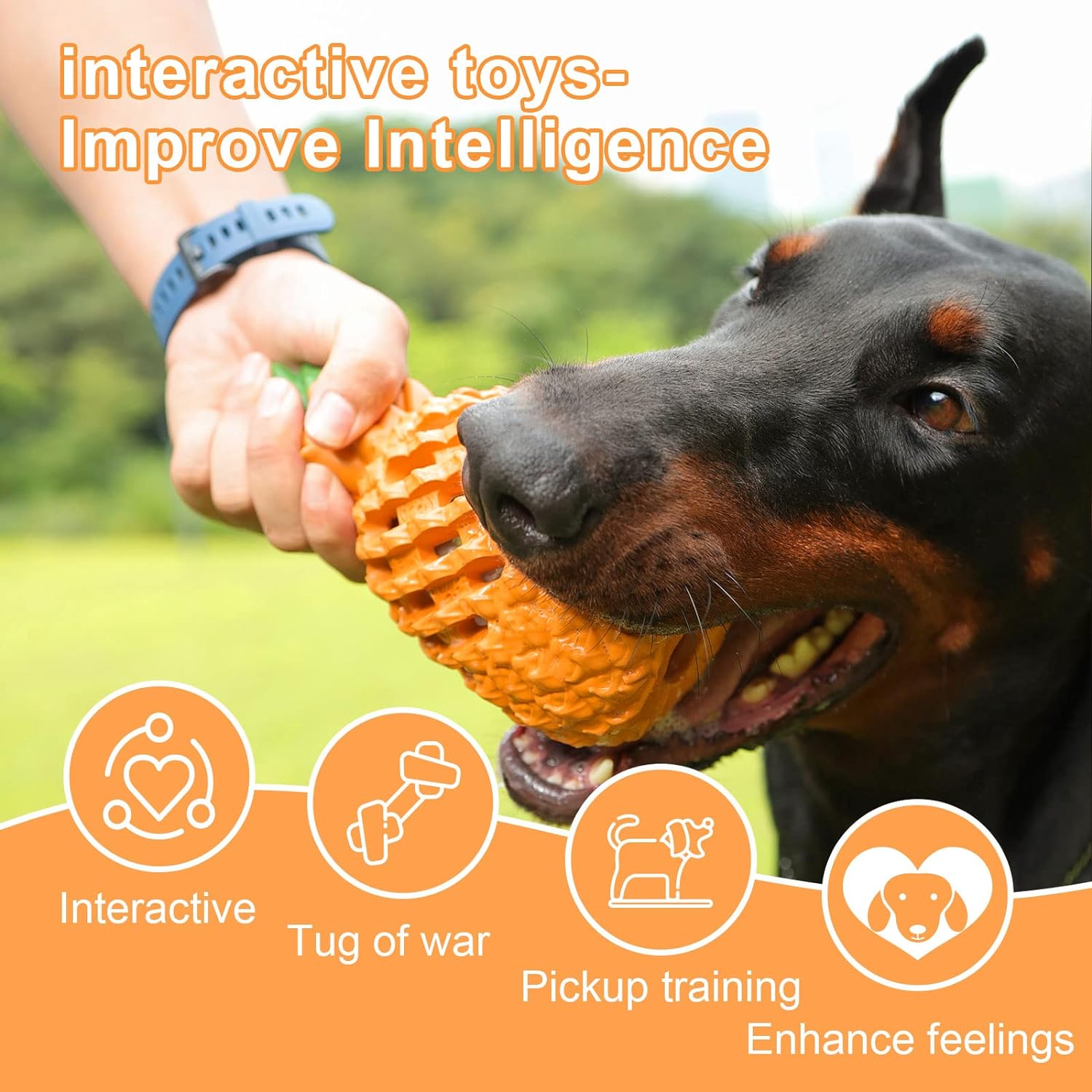 Pineapple Rubber Chew Toy for Dogs