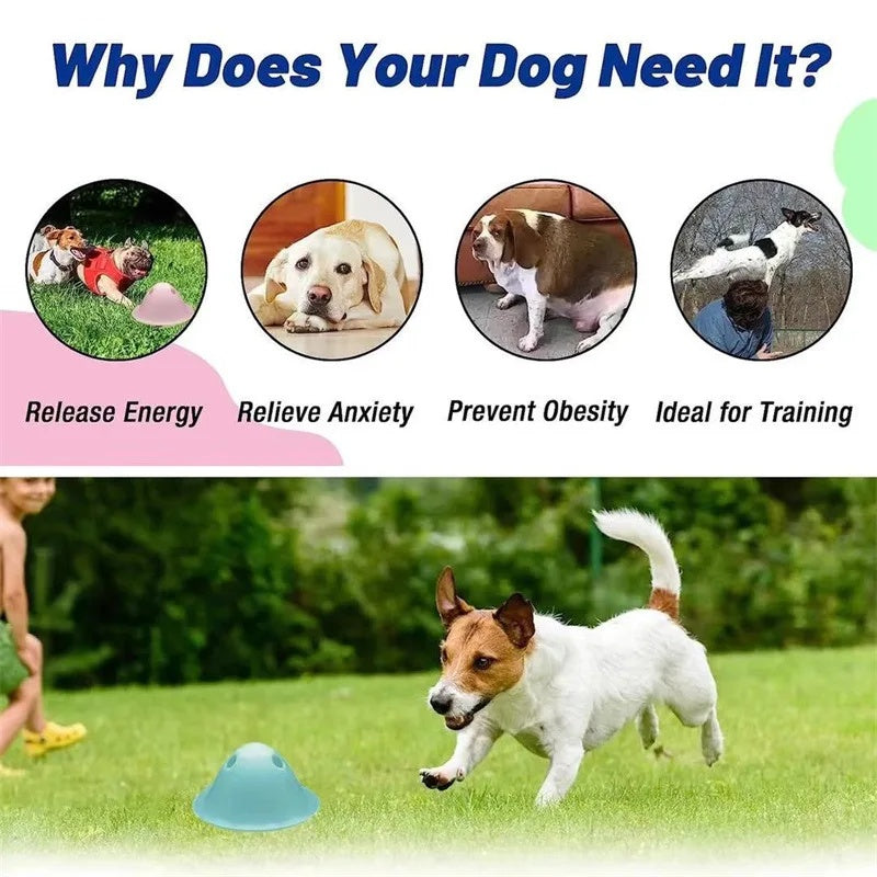 Treat-Hiding Chew Puzzle for Dogs