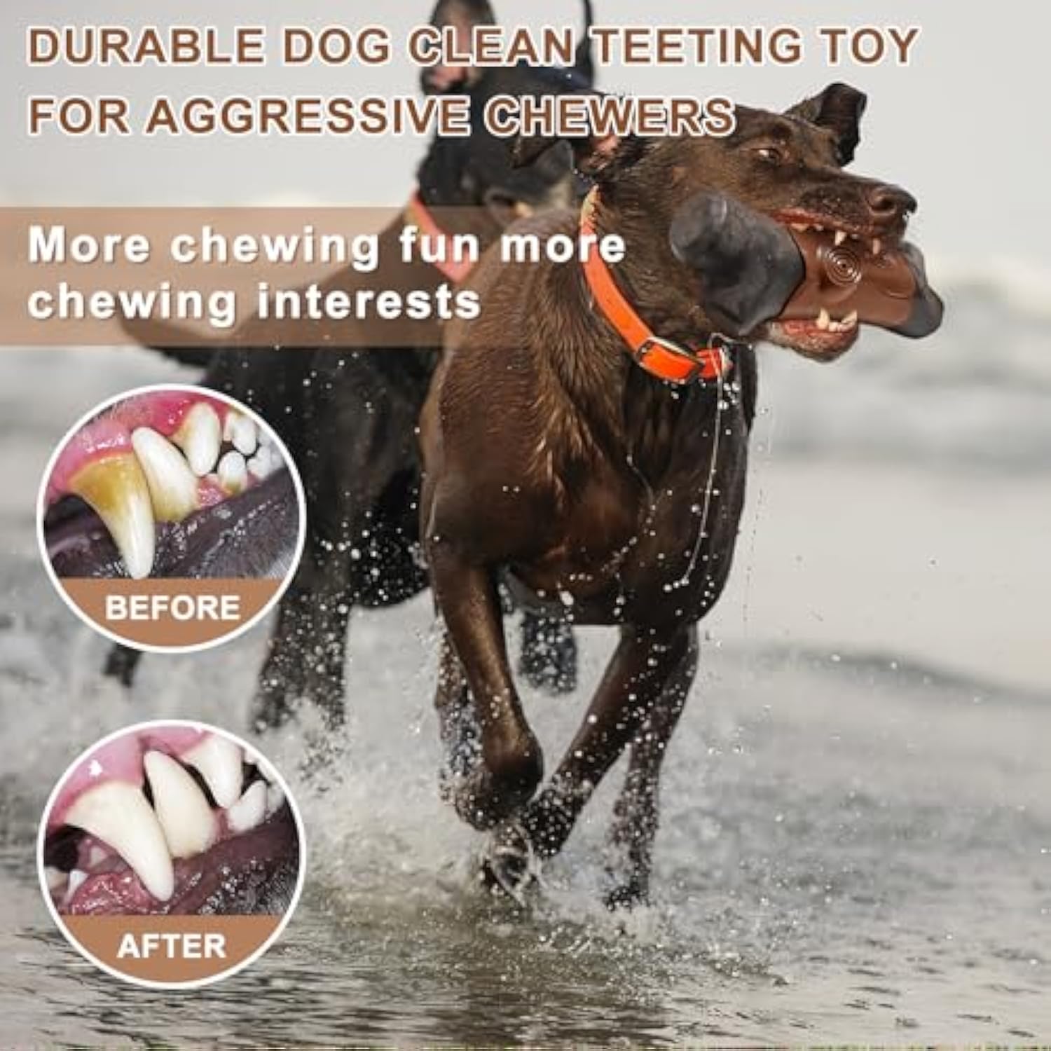 Bacon-Flavored Nylon Chew Toy for Large Dogs